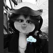 Linhnee45