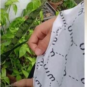 giahuy221109