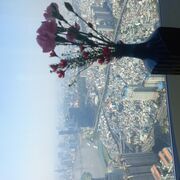 Saigon_Cafesuada