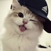 Tuan_anhk3