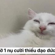 hieuuuy