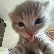 Lucifer00