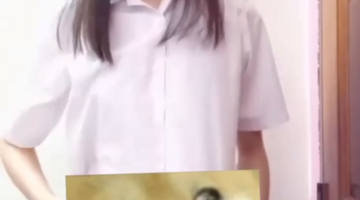 video hay