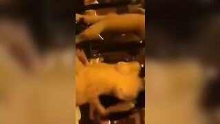 Thoát y chiều khách trong quán karaoke