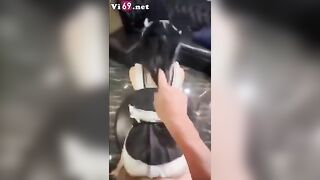 chịnh em gái dâm đãng
