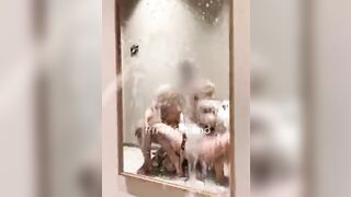 Vừa hôn mừa móc lồn em gái bắn nước lồn ướt hết gương
