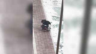 Cãi nhau với người yêu, em gái lột đồ giữa mùa đông lạnh giá