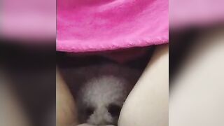 Full video đụ chó zl 0876902383