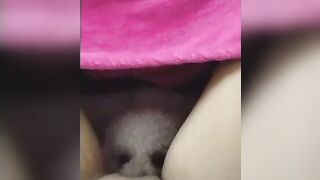 Full video đụ chó zl 0876902383