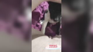 PHAN NGỌC DIỄM 9B VÀ MỘT CÁI LOLL KHÔNG LÔNG CHO CHÓ LIẾM
