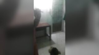 Gái chuppy múp