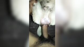Sướng quá 5