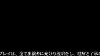 DFE 080