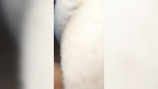 Địt em người yêu lồn khít lúc ngủ say