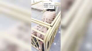 Nuôi nô lệ trong chuồng chó Trung Quốc