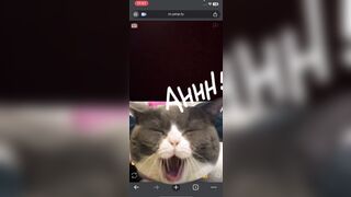 Ometv 4