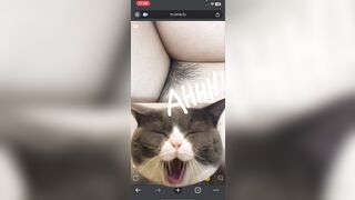 Ometv 4