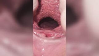 cận cảnh con hàu non tơ chảy nước