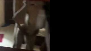 Clip Sex Quyên Hoàng Sang Chảnh Lộ Clip