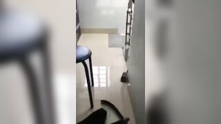 Clip Sex Phương Anh Hotgirl Tiếp Tân Khách Sạn Hot 1 Thờii