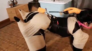 Nô lệ bên Trung Quốc yếu tim không nên xem