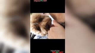 Gái trung nuôi chó cũng chỉ để địt