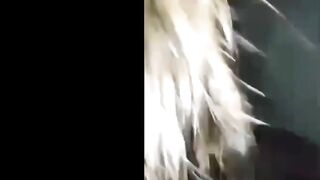Clip Sex Quỳnh Anh 2ka8 Cùng Anh Người Yêu Vào Khách Sạn