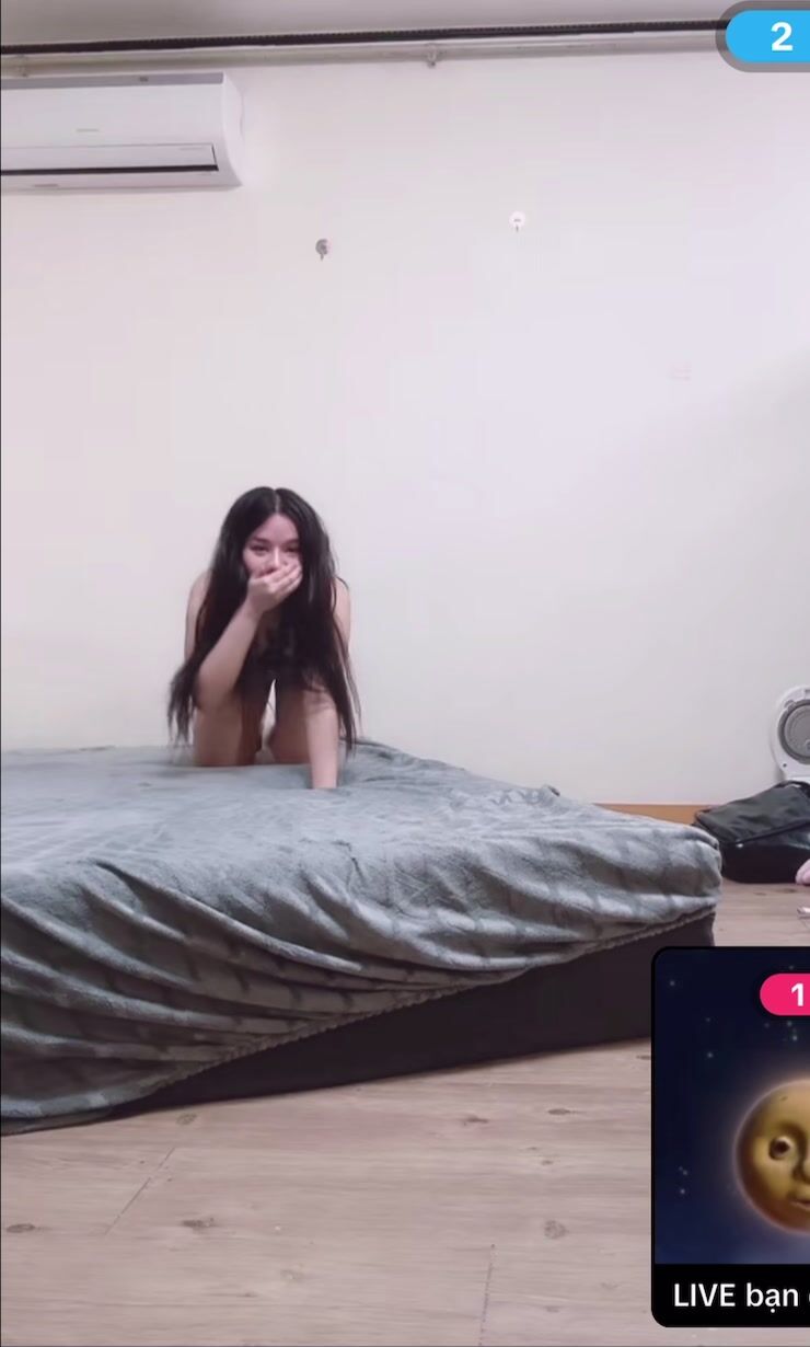 my thỏ tiktok 🐰🐇