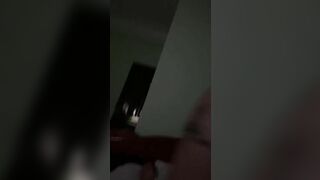 Bà chị chuppy thích ngồi trên cưỡi ngựa