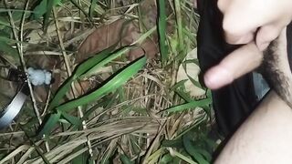 đi học về nwngs quá kkk