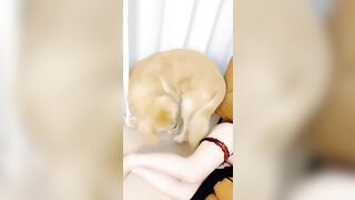 Gái trung quốc xinh đẹp thật mà chỉ cho chó đụ thôi