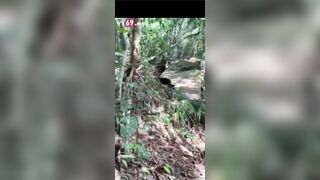 Hành trình vượt 100km để được chs trần r học sinh trong rừng siêu hay