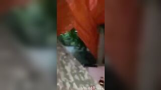 Chơi em không bao trong chòi tạm ven đường