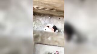 Quay lén em nữ sinh BJ cho bạn trai trong hẻm