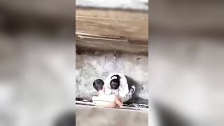 Cứ ra chơi là lại lén lút ra sau lớp học bú nhau