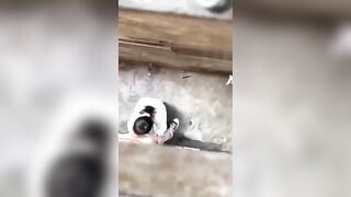 Cứ ra chơi là lại lén lút ra sau lớp học bú nhau