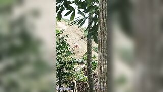 Quay lén 2 em học sinh hoà mình với thiên nhiên