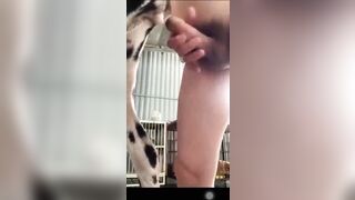 Lại clip chịch chó đốm