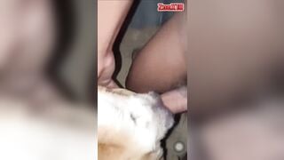 Đôi bạn đụ chó cái lồn đẹp