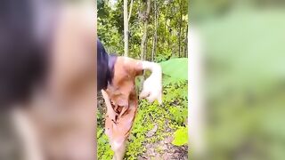 Gái xinh dâm đến cây hoa cũng chả tha