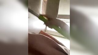 Em nhân viên quán trà sữa móc lồn rồi đái vào cốc cho khách uống