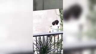 Vl 2 e học sinh cấp 3 lén mò hàu dưới sân trường bị Giám thị bắt được