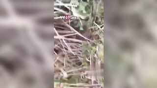 Biến thái địt bé học sinh lên đỉnh liên tục trên núi ở Cao Bằng