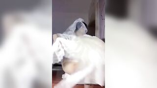 Đang đám cưới mà nứng quá