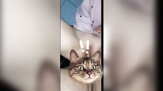 khongg xem hối hận cả đời