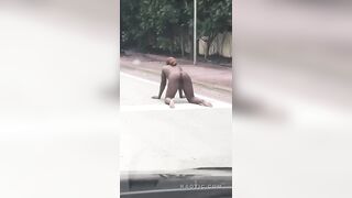 Say xỉn doggy với trí tưởng tượng của chính mình trên đường phố