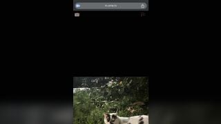 Ometv Gái Xinh k1 2 Lồn không lông phê