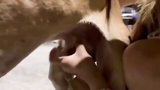 tởm! con nhỏ nì đến chó nó còn không tha! gớm thiệt sự!!!