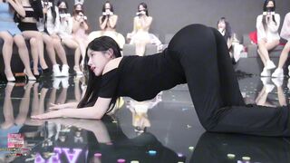 Panda live bên hàn
