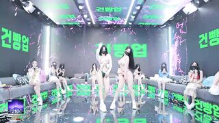 Panda live bên hàn 7